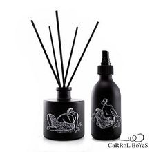 Fragrance Diffuser