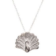 The peacock is a symbol of Vision, Royalty, Spirituality, Awakening, Guidance, Protection, & Watchfulness.

 In Christianity the peacock represents resurrection, renewal and immortality.

Includes sterling silver chain.